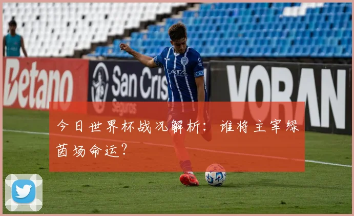 今日世界杯战况解析:谁将主宰绿茵场命运?